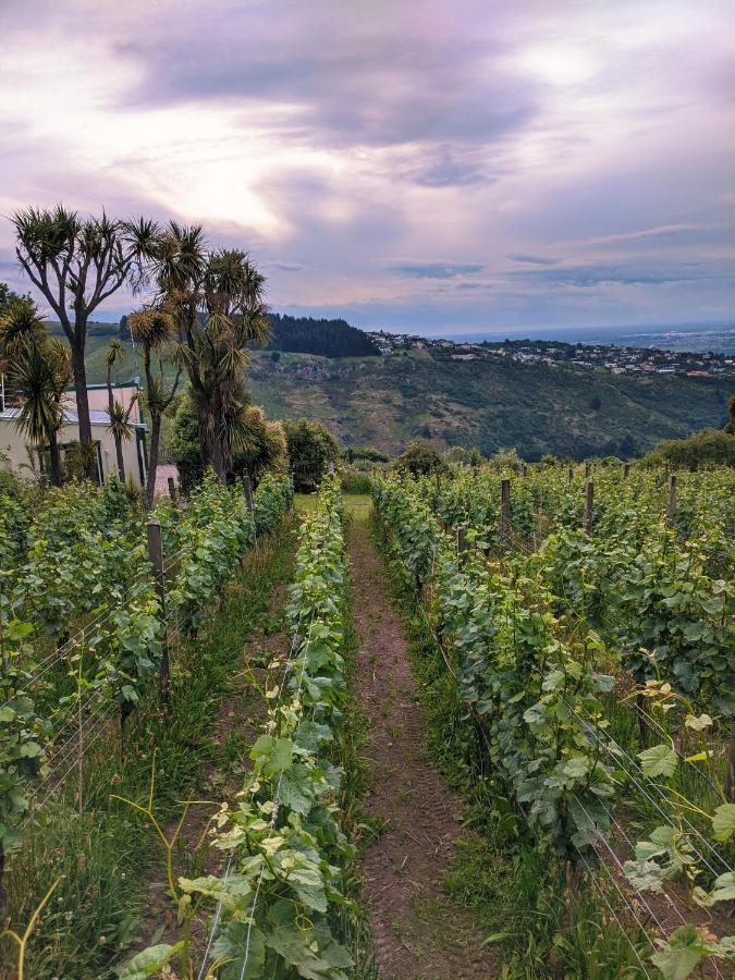 فندق Tussock Hill Vineyard Retreats كريستتشيرش المظهر الخارجي الصورة